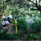 Schonstedt Helps Accelerate Demining Efforts in Lebanon